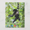 Search for monkey business postcards Funny