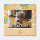 Search for flavour magnets I can has cheezburger