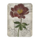 Search for french magnets Floral