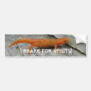 Search for animal photos bumper stickers Nature