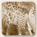 Search for park coasters Black and white