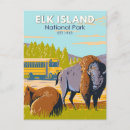 Search for bison postcards Alberta