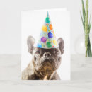 Search for french bulldog cards Frenchie