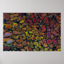 Search for dinosaur bones posters Black