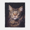 Search for maine coon Black