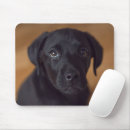Search for cutest electronics Dog
