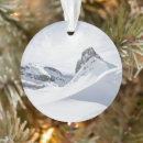 Search for austria christmas tree decorations Landscape