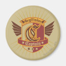 Search for quidditch magnets Jk rowling
