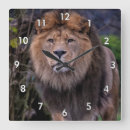 Search for beautiful lion art Wall