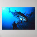 Search for tuna posters Ocean life