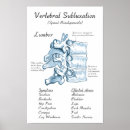 Search for chiropractic art Chiropractor