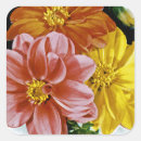 Search for dahlia stickers Vintage