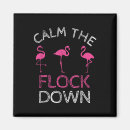 Search for flocking square magnets Pink flamingo