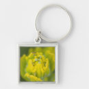 Search for paintbrush key rings Usa