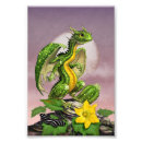 Search for zucchini posters Green