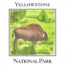 Search for bison landscape stickers Wildlife