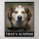 Search for meme posters Sarcasm