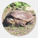 Search for snapping stickers Nature