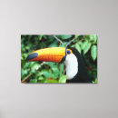 Search for jungle animal canvas prints Bird
