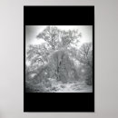 Search for black lace photography Black and white