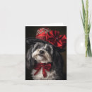Search for havanese christmas cards Animal