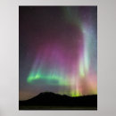 Search for brooks posters Arctic