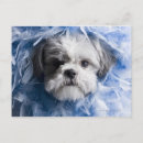 Search for closed postcards Animal