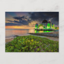 Search for environmental conservation postcards Outdoors