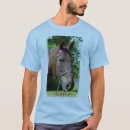 Search for stable clothing Horse