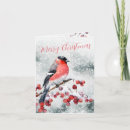 Search for bullfinch christmas cards Watercolor