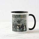 Search for african elephant mugs South africa