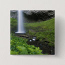 Search for river fall badges Scenic