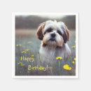 Search for tzu Pets