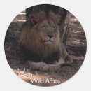 Search for the big five stickers Africa