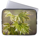Search for blossom flower electronics Leaf