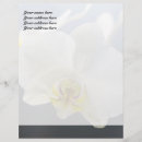 Search for orchid stationery paper White