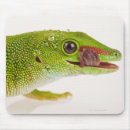 Search for gecko mousepads Reptiles