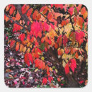 Search for shrubs stickers Flora