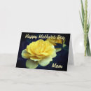 Search for roses mothers day cards Yellow