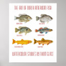Search for fish art Watercolor