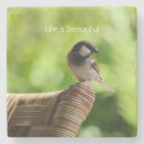 Search for hawaii coasters Photography