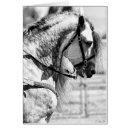 Search for western note cards Equestrian