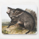 Search for animal collar mousepads Mammal