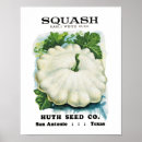 Search for squash posters Vegetable