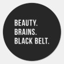 Search for black belt stickers Kung fu