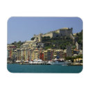 Search for historic rectangular magnets Scenic