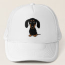 Search for smooth hats Dog