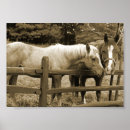 Search for riding horse posters Country