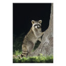 Search for natural world posters Nature
