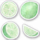 Search for lime slice stickers Lemon